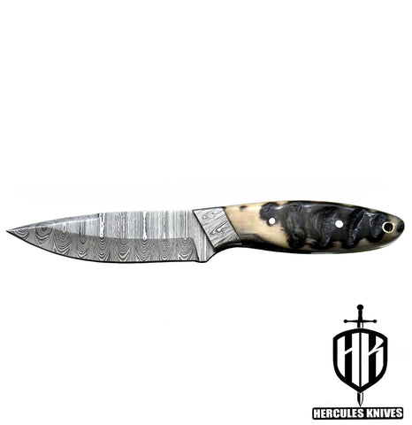 T114-Custom Hand Forged Damascus Steel Fixed Blade Camping Knife with Rams Horn Handle | Handmade | Leather Sheath