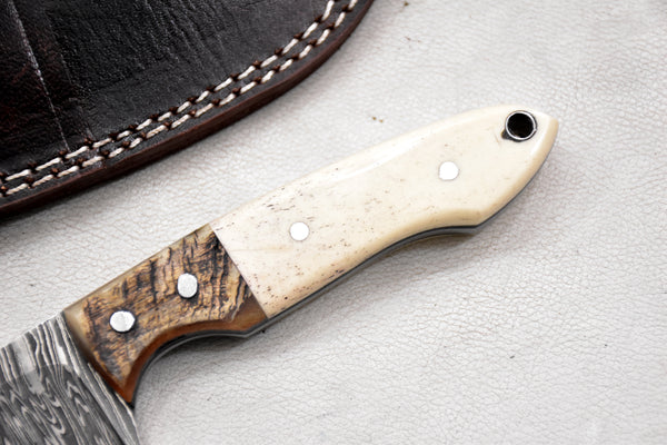 T263-Custom Hand Forged Damascus Steel Fixed Blade Camping Knife with Camel Bone & Rams Horn Handle | Handmade | Leather Sheath