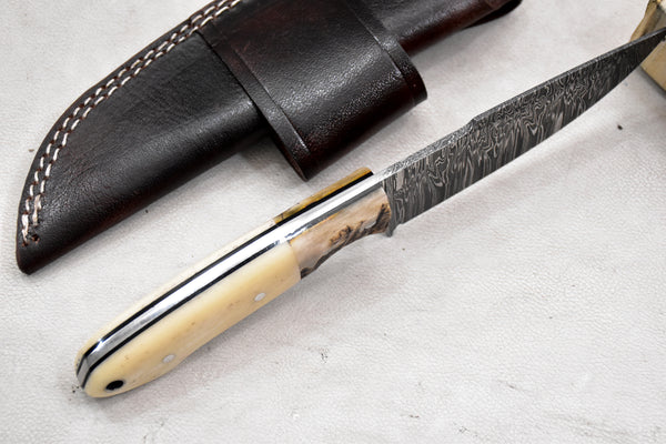 T263-Custom Hand Forged Damascus Steel Fixed Blade Camping Knife with Camel Bone & Rams Horn Handle | Handmade | Leather Sheath